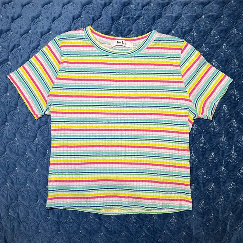 Brandy Melville Tres Bien Rainbow Cropped T-Shirt in One Size
